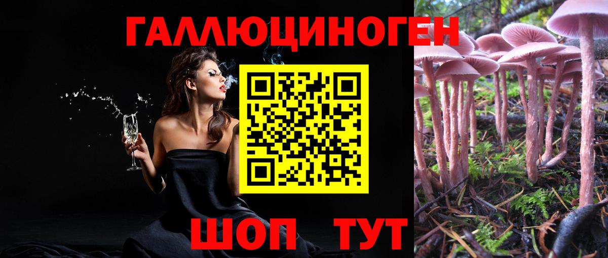 Псилоцибиновые грибы Psilocybe Шебекино