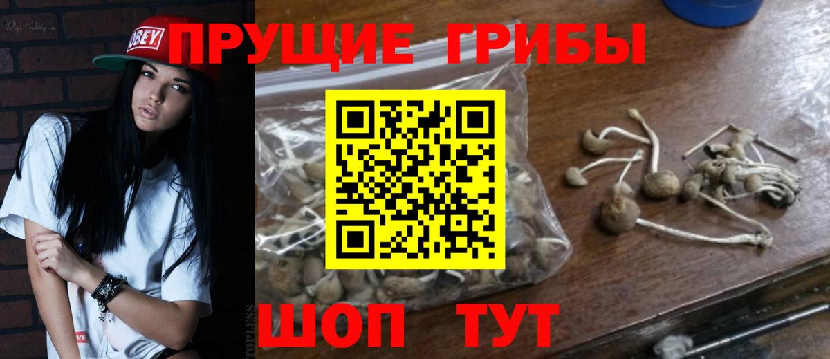 Шебекино  Галлюциногенные грибы мухоморы  Вход с VPN 